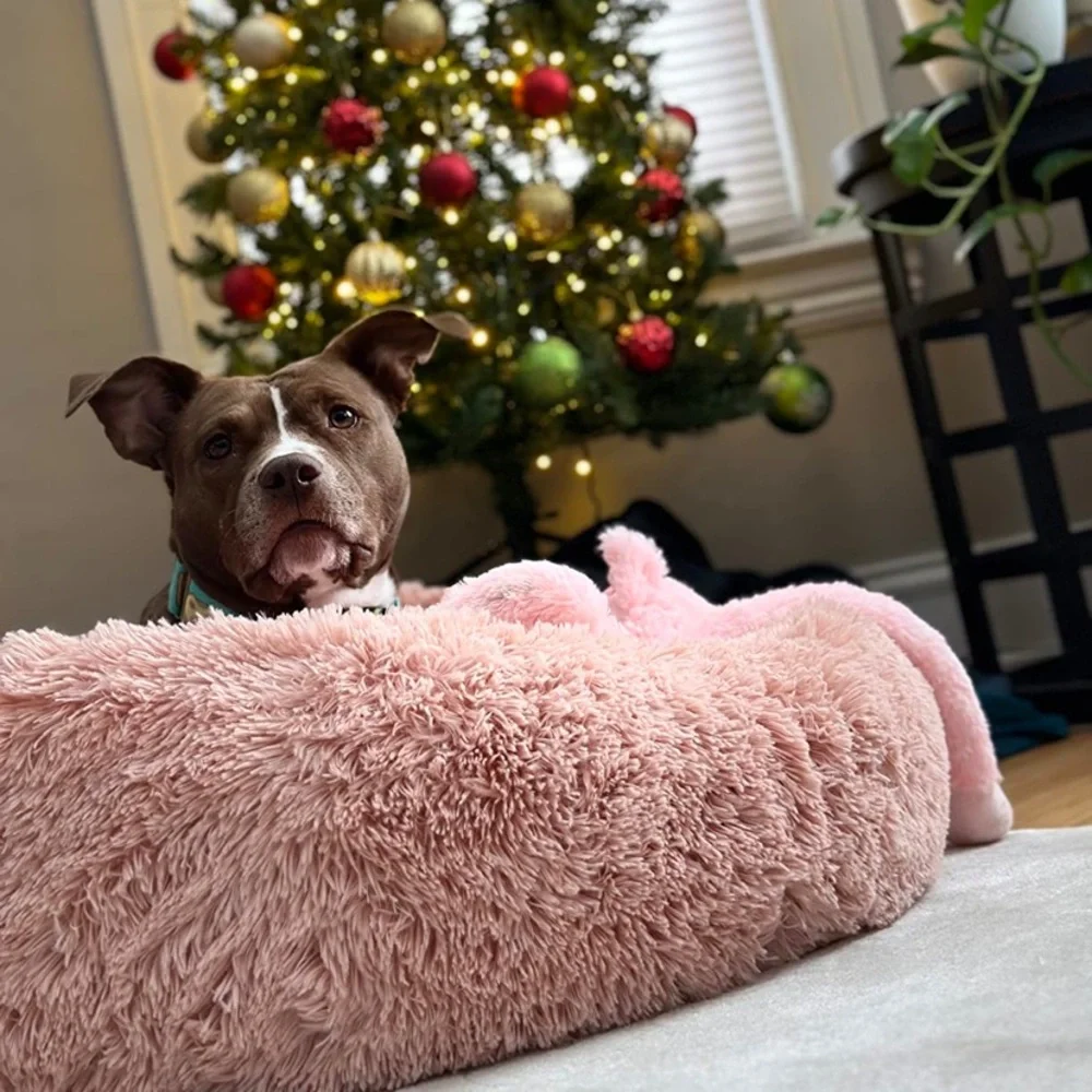 Donut Plush Pet Dog Cat Bed Fluffy Soft Warm Calming Bed Sleeping Kennel